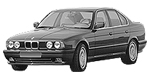 BMW E34 P3461 Fault Code